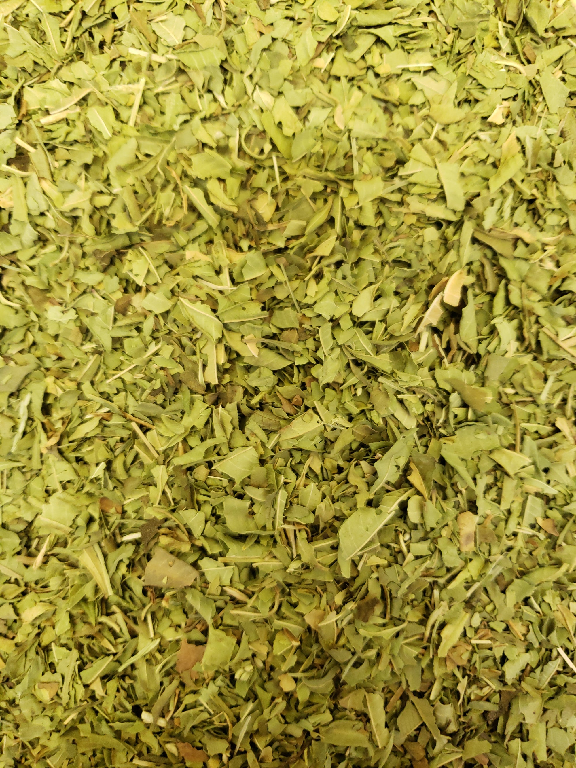 Organic Lemon Verbena