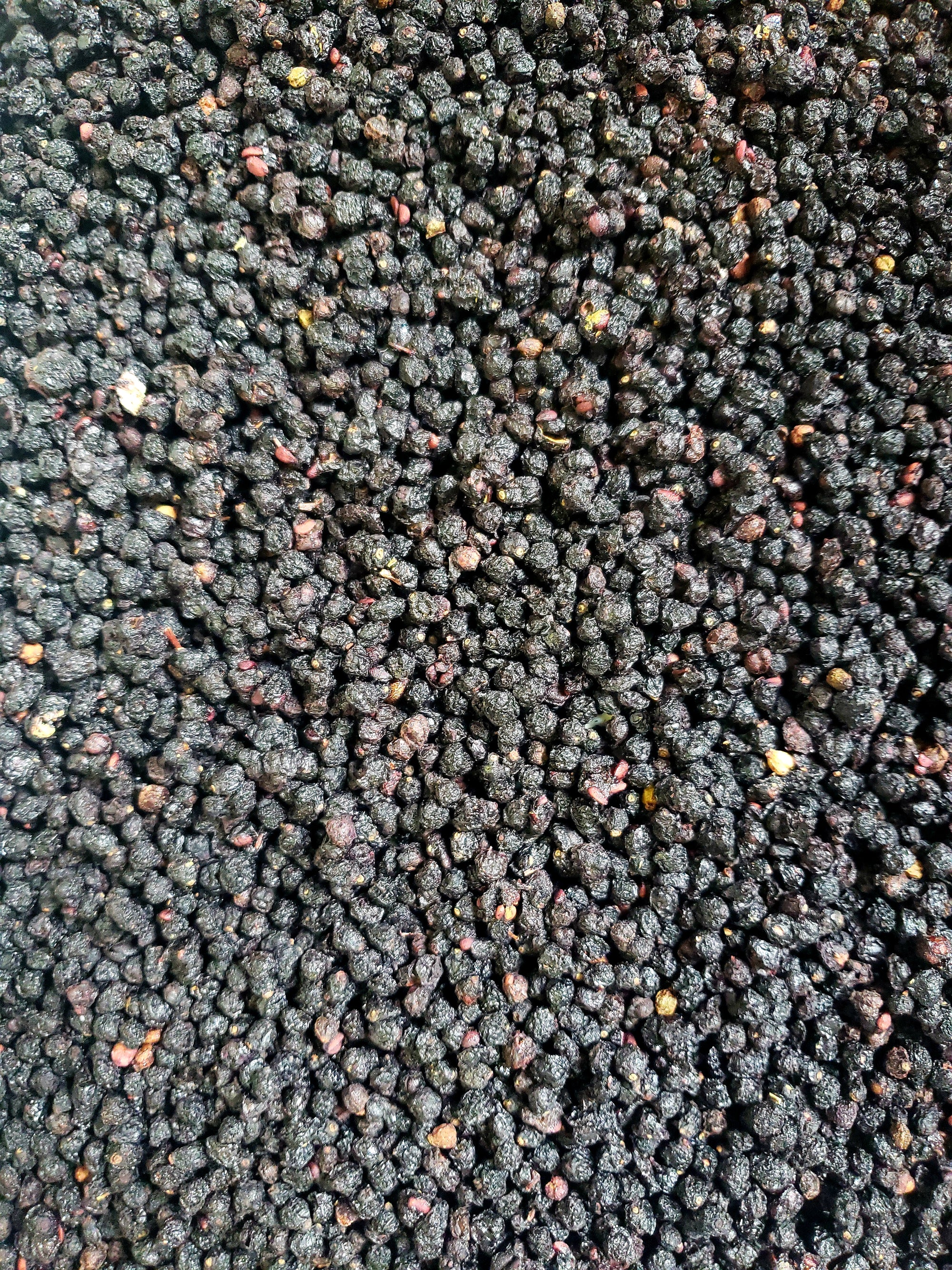 Organic Elderberries