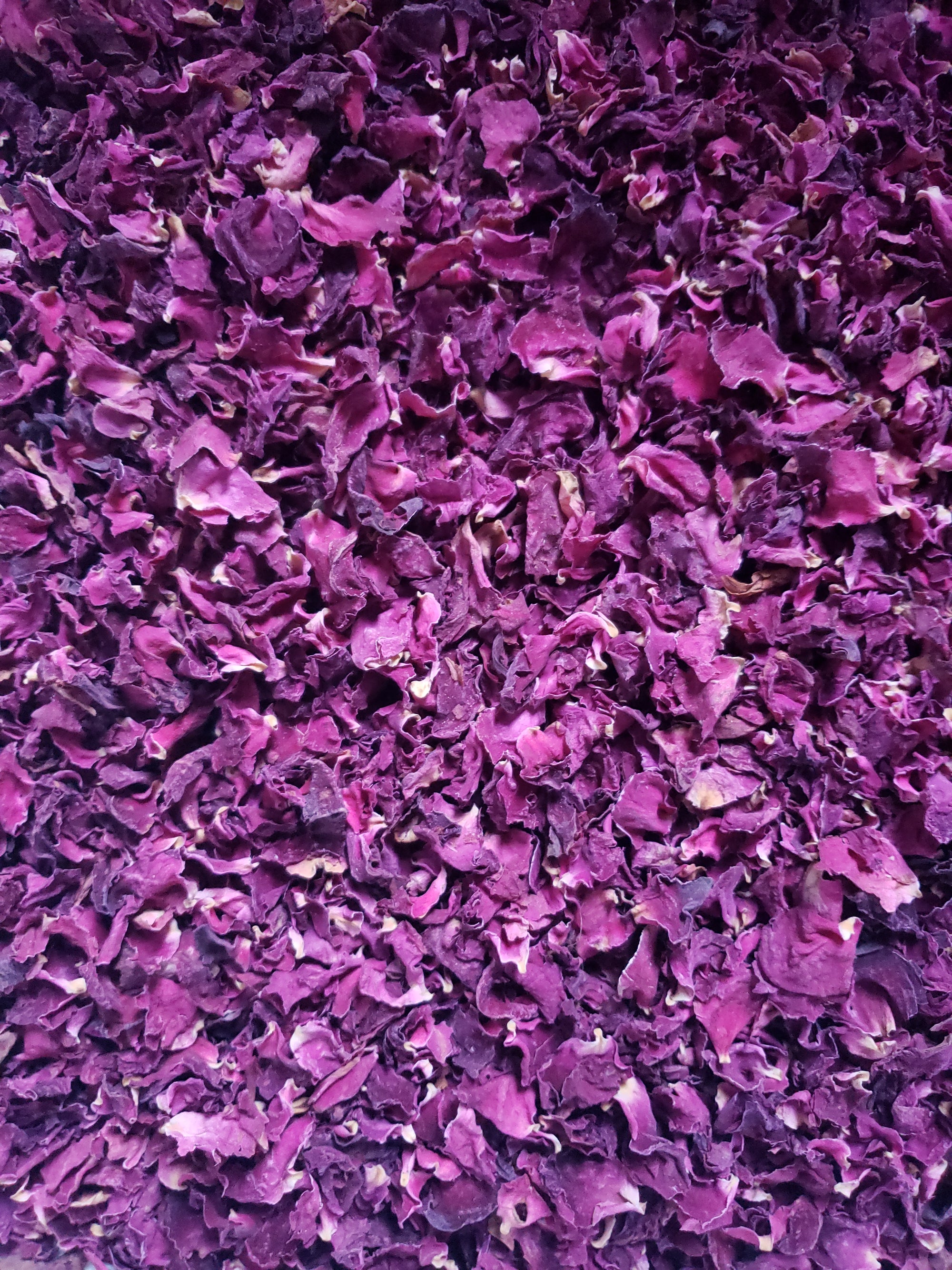 Organic Rose Petals