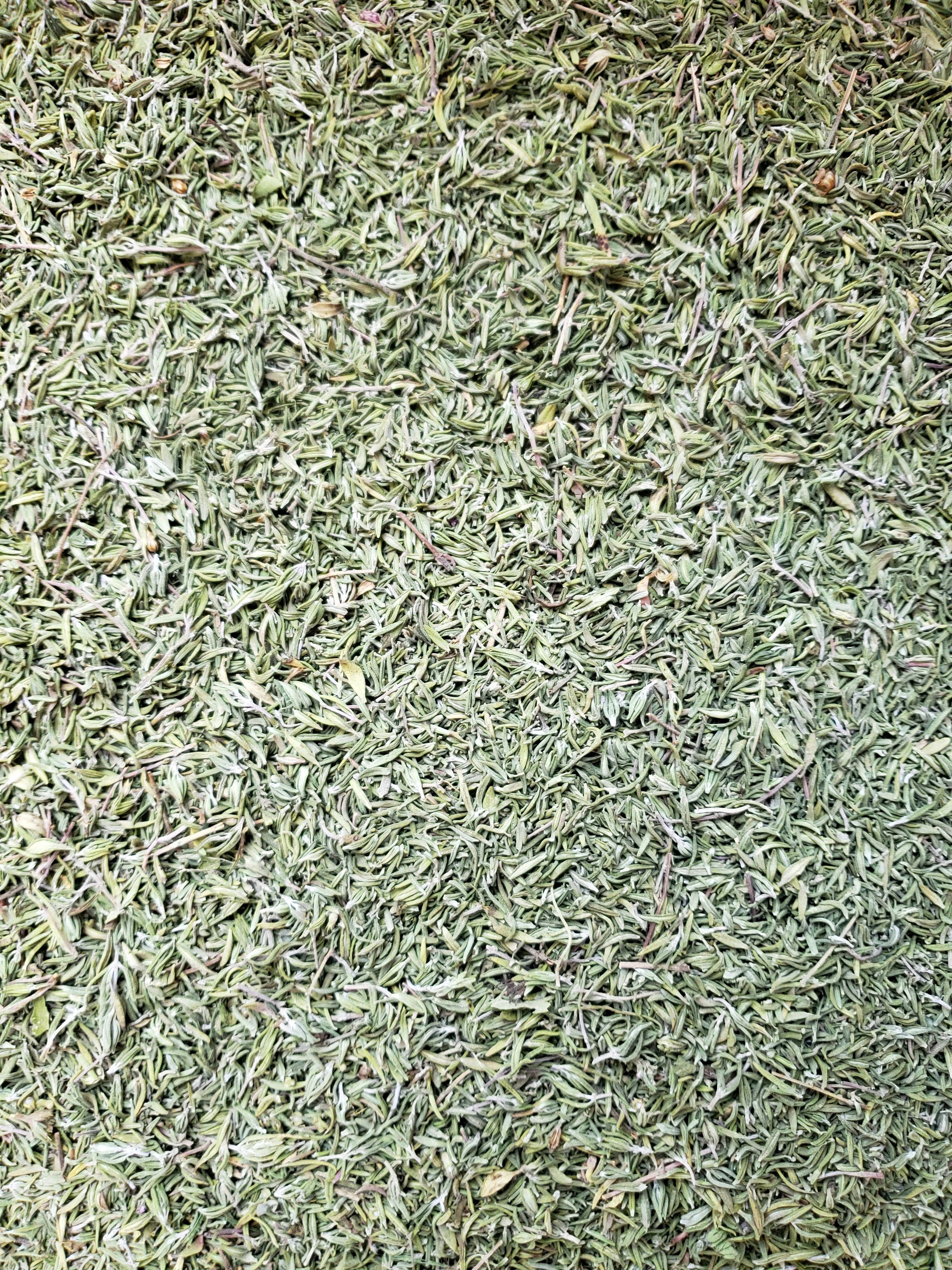 Organic Thyme- Premium