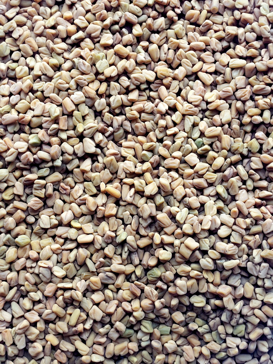 Organic Fenugreek Seeds