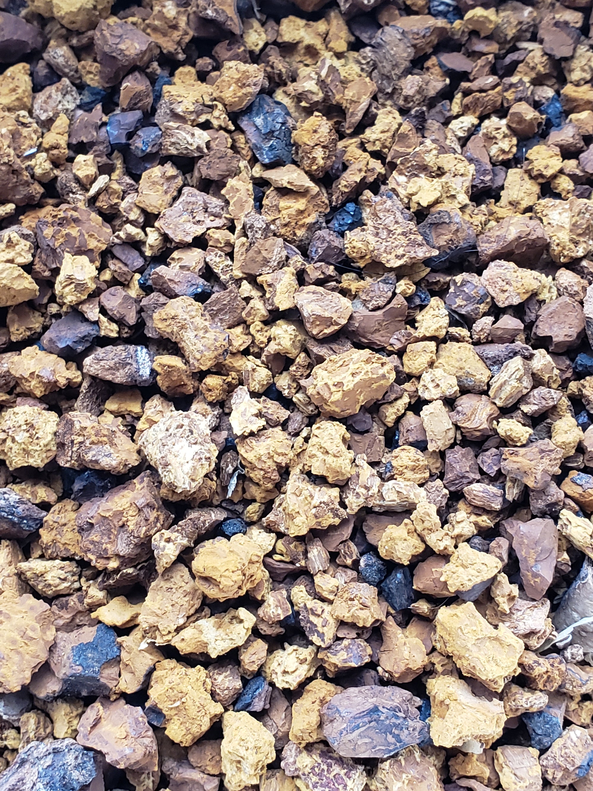 Organic Chaga Mushroom