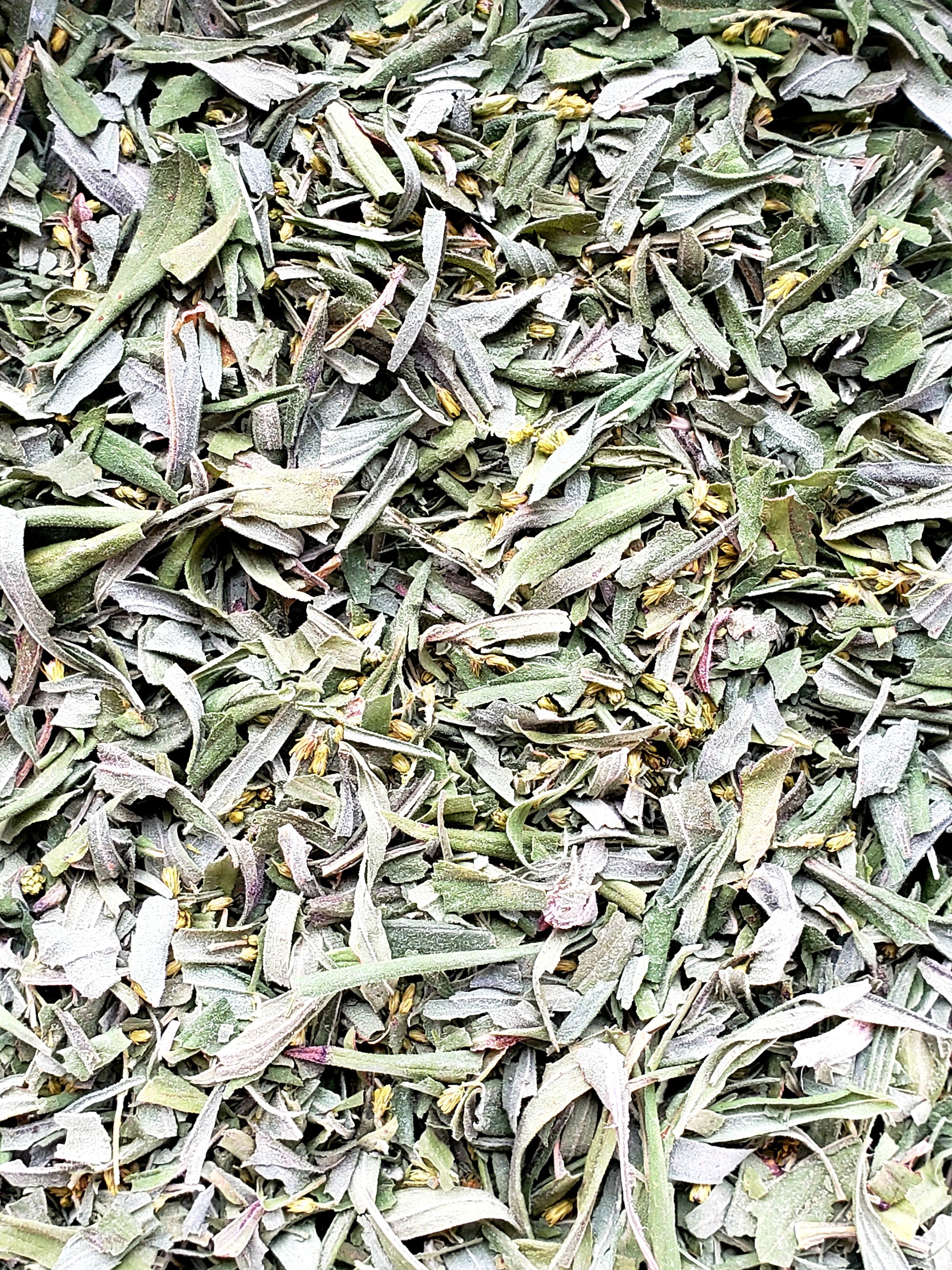 Organic Goldenrod- Premium