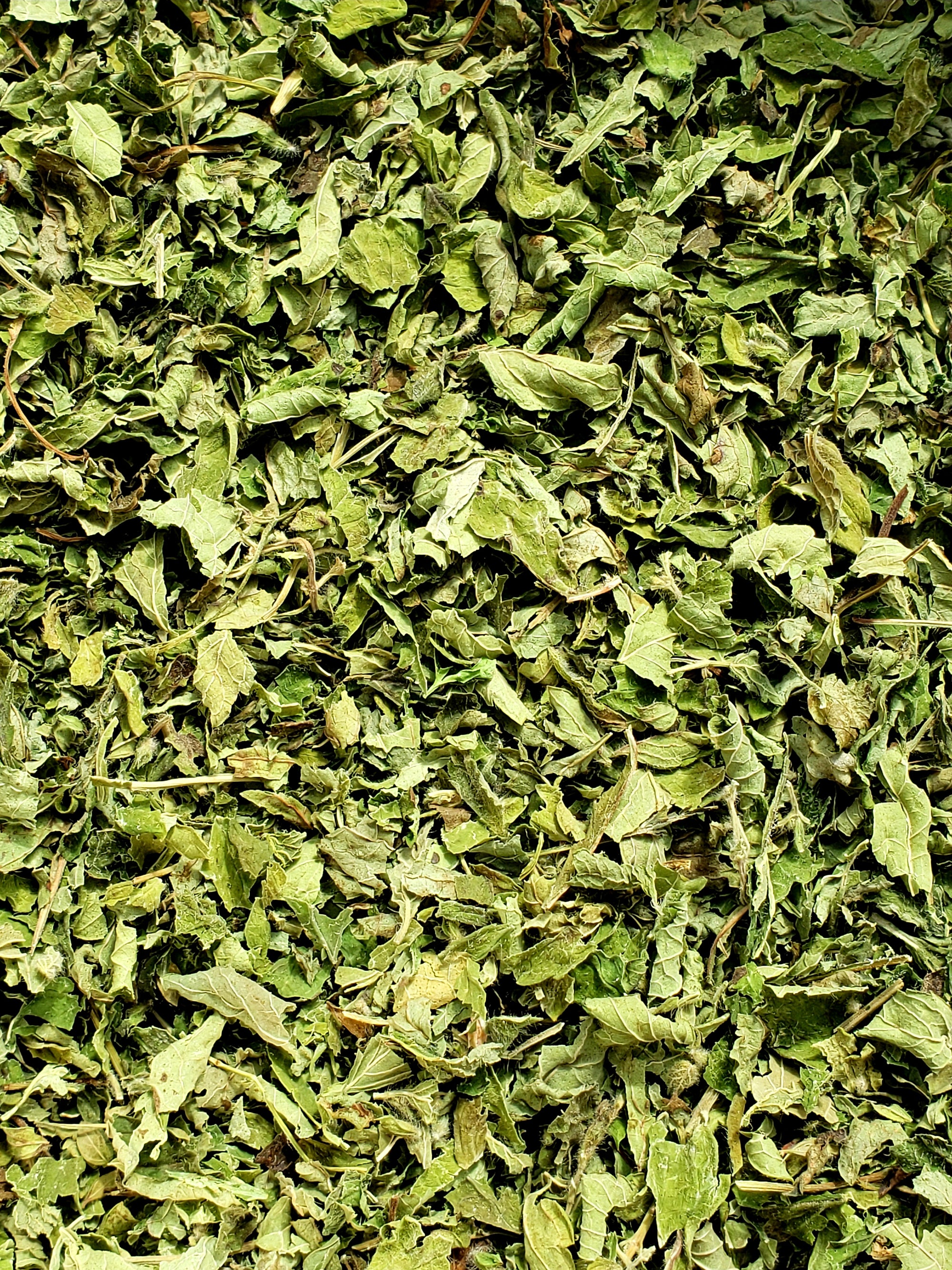 Organic Lemon Balm- Premium