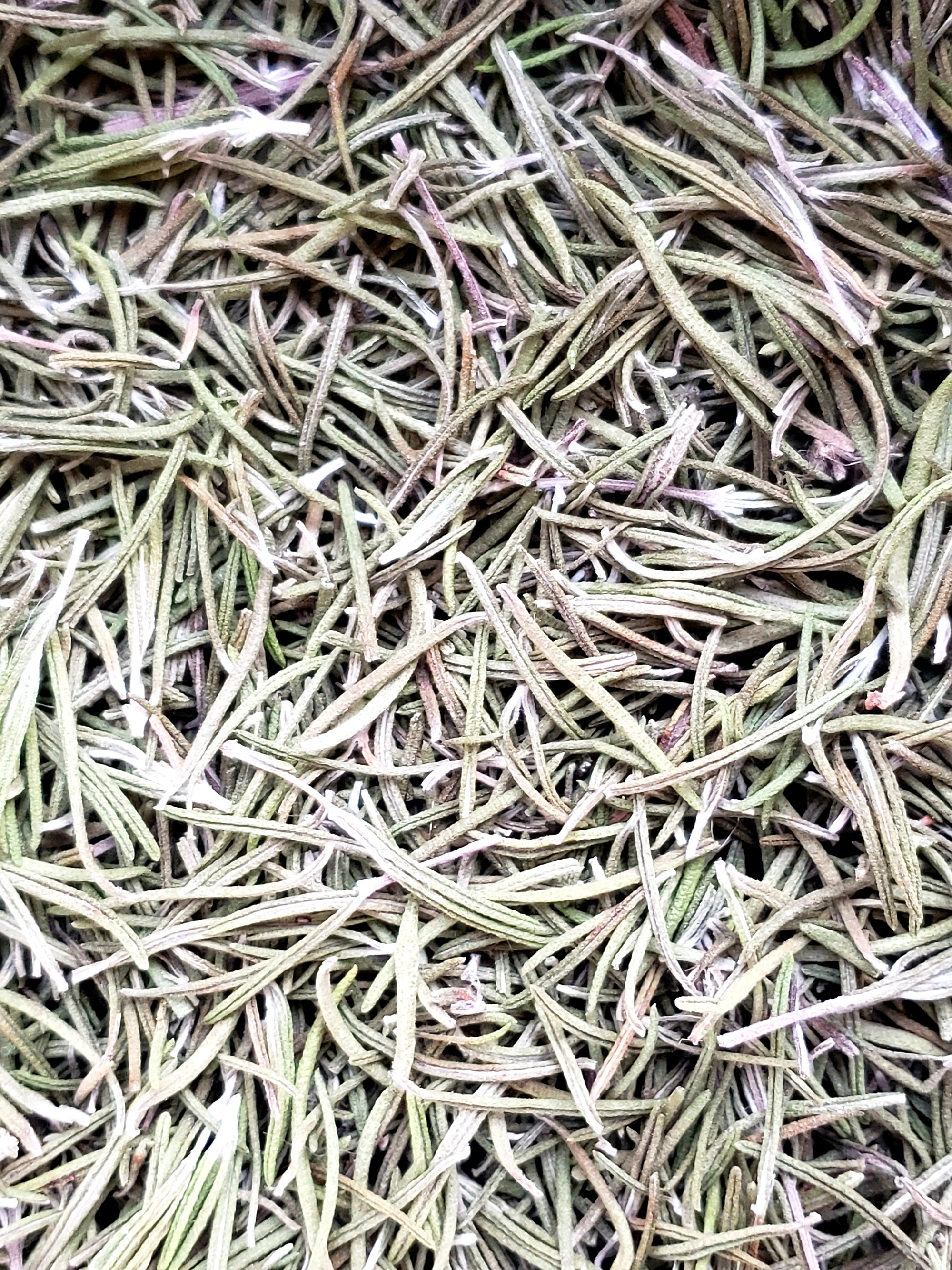 Organic Rosemary- Premium