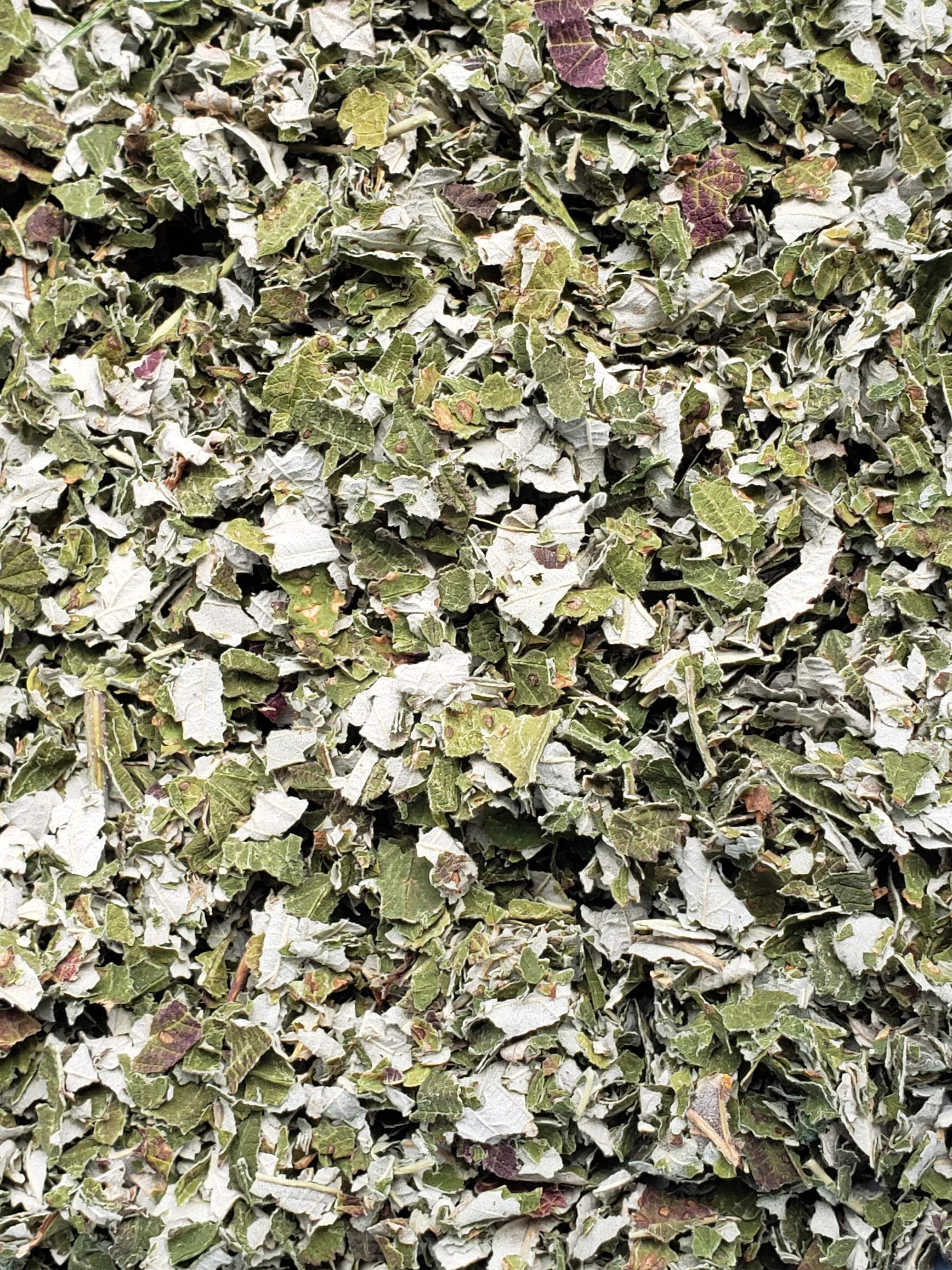 Organic Red Raspberry Leaf- Premium