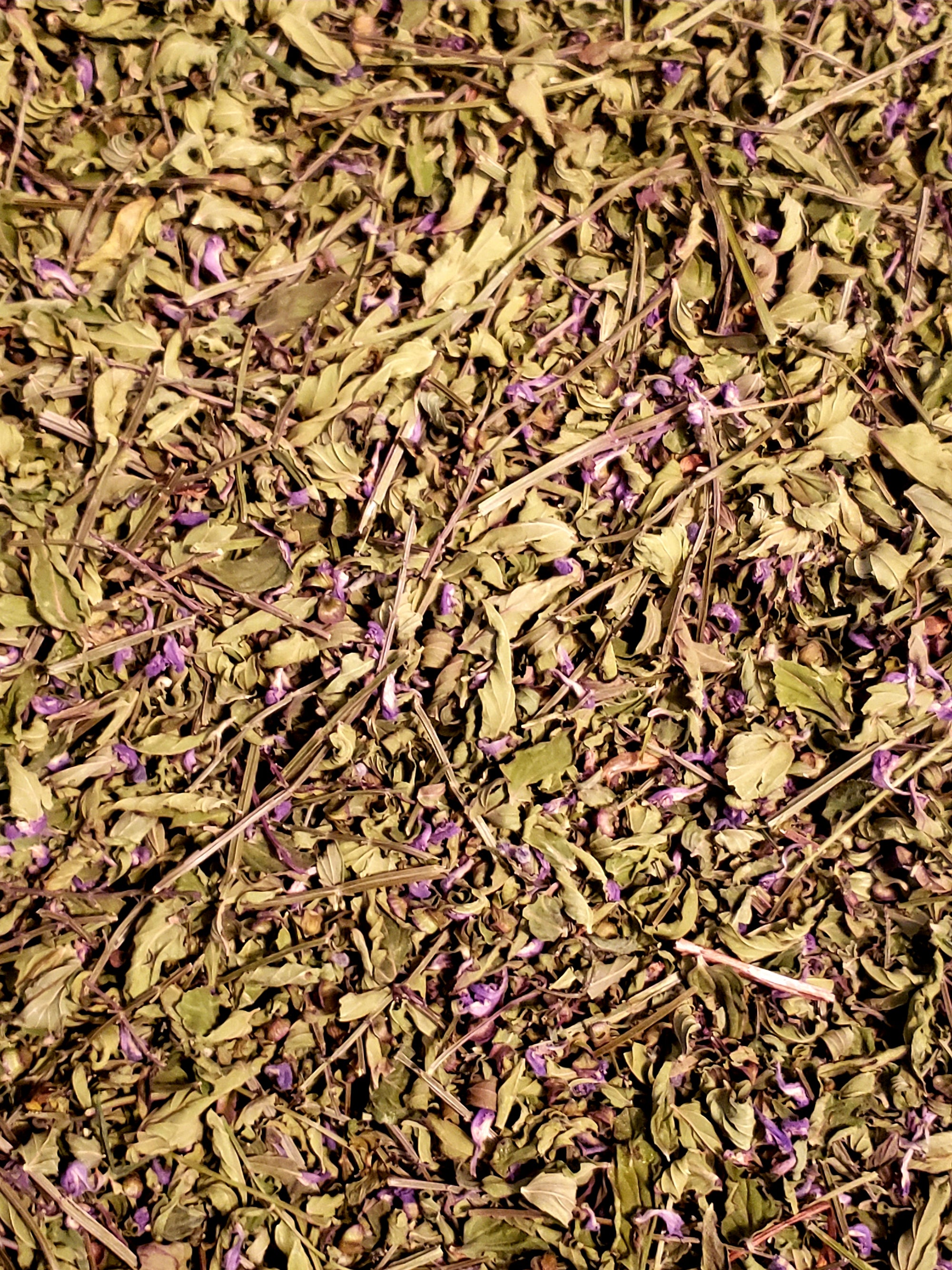 Organic Skullcap- Premium