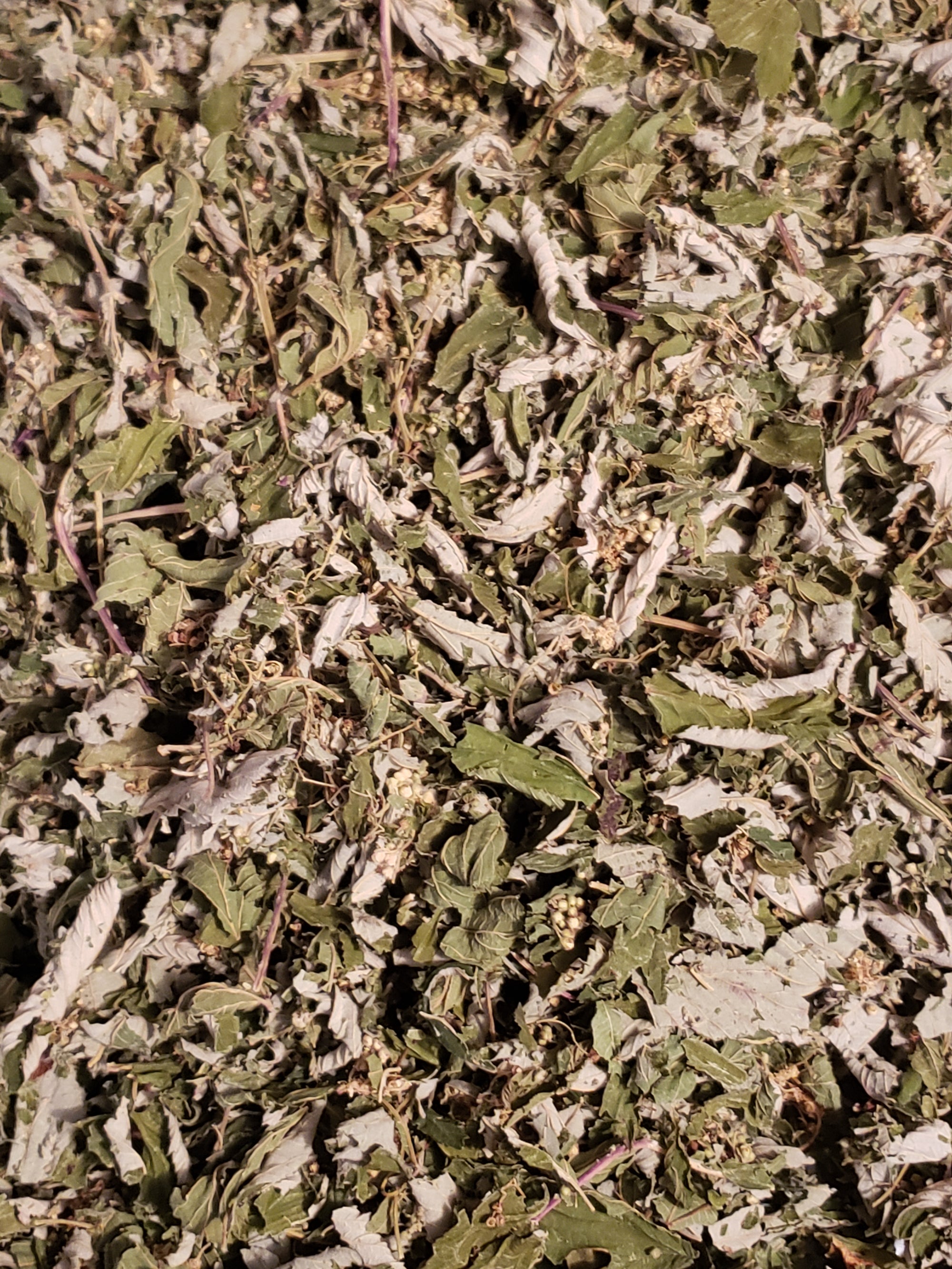 Organic Meadowsweet- Premium