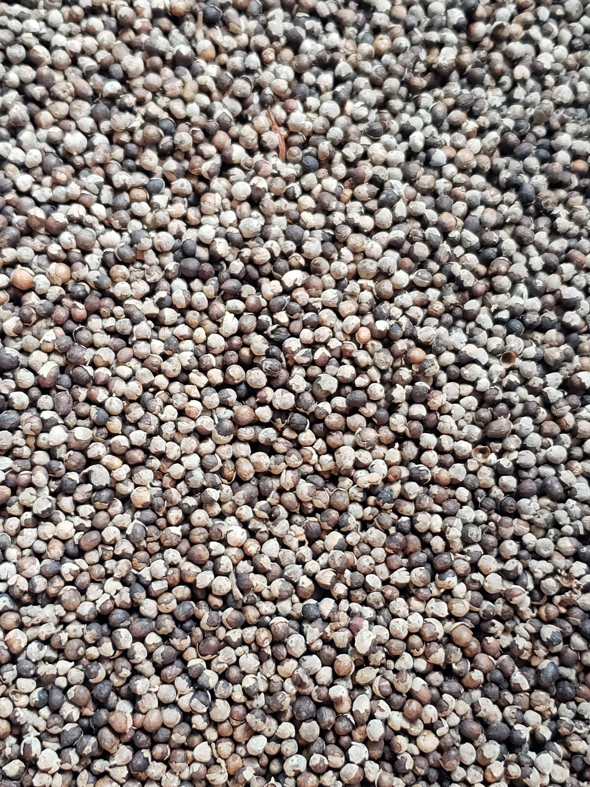 Organic Chaste Tree Berries