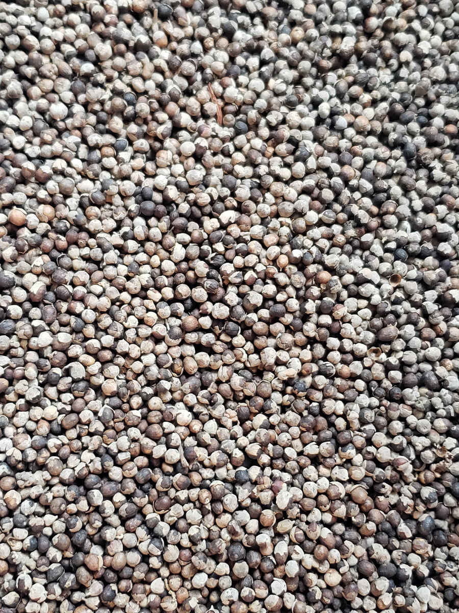 Organic Chaste Tree Berries