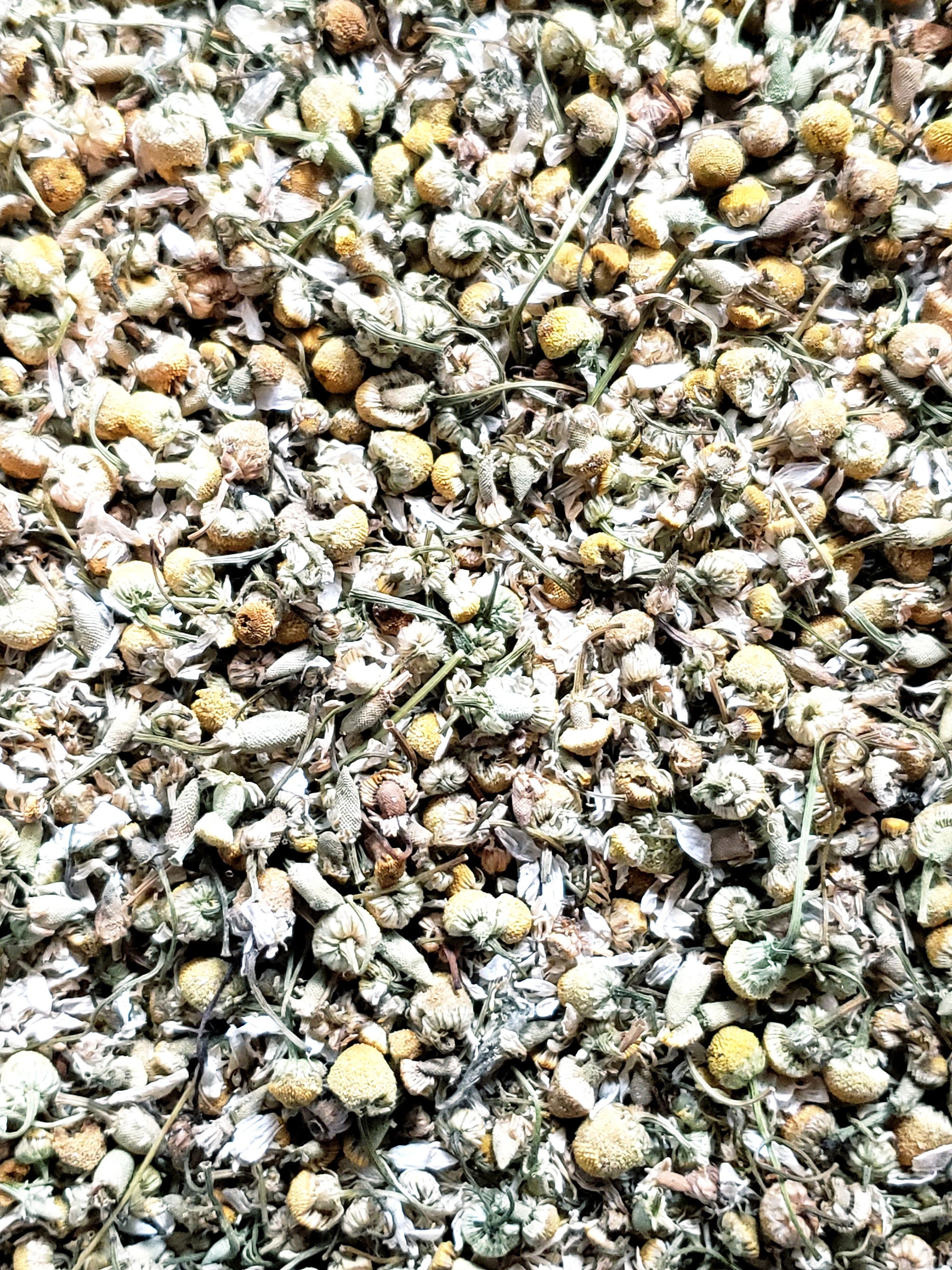 Organic Chamomile