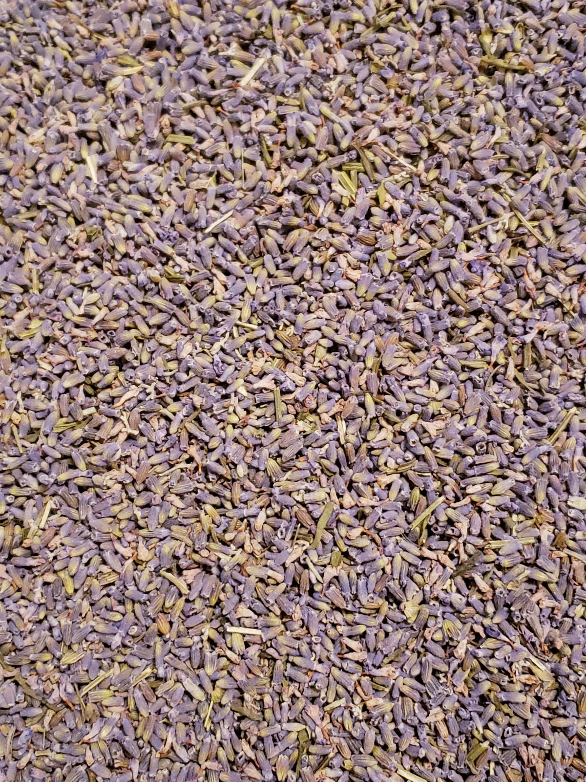 Organic Lavender Flowers (English)