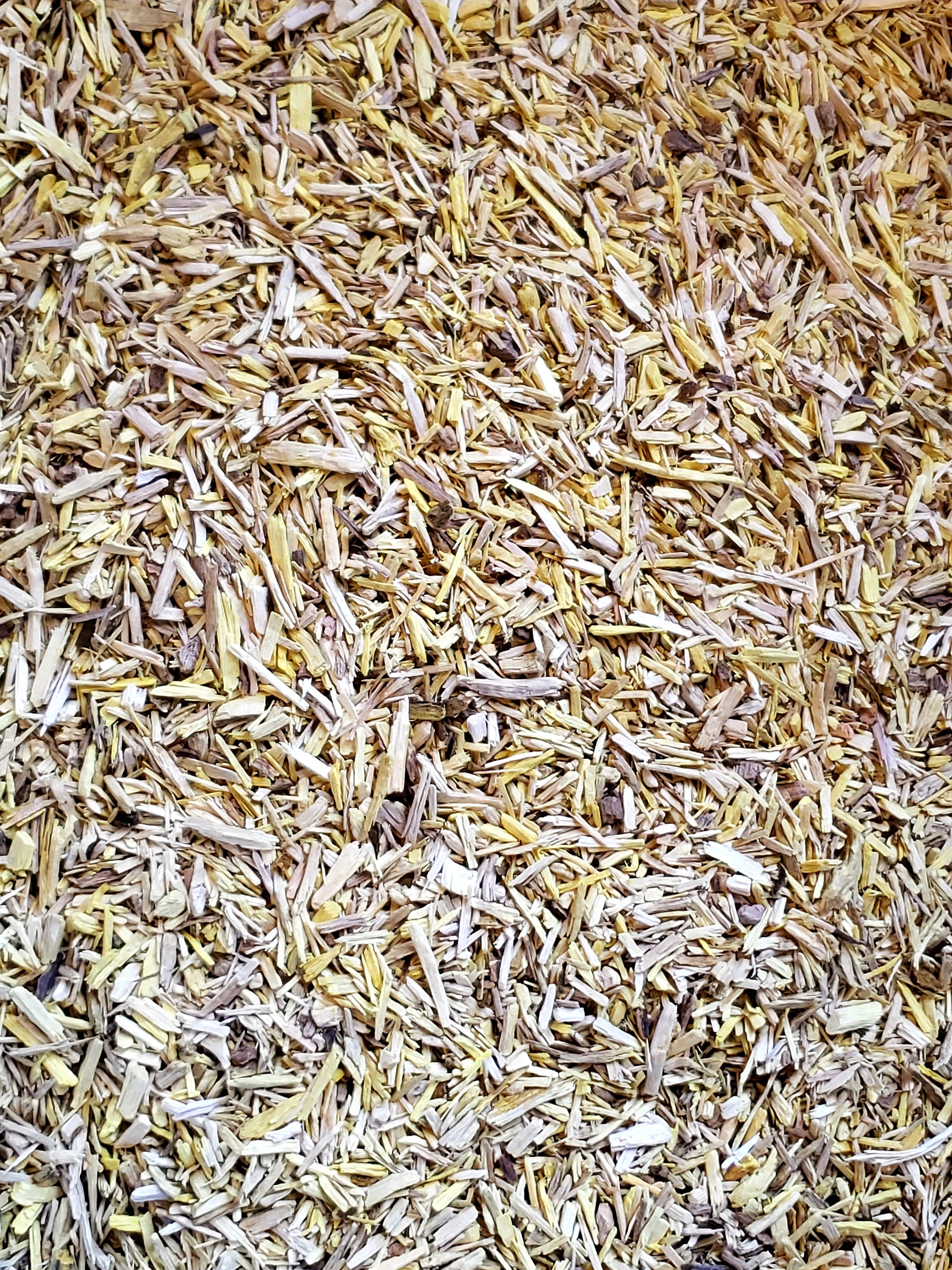 Organic Oregon Grape Root - Rebel Roots Herb Farm