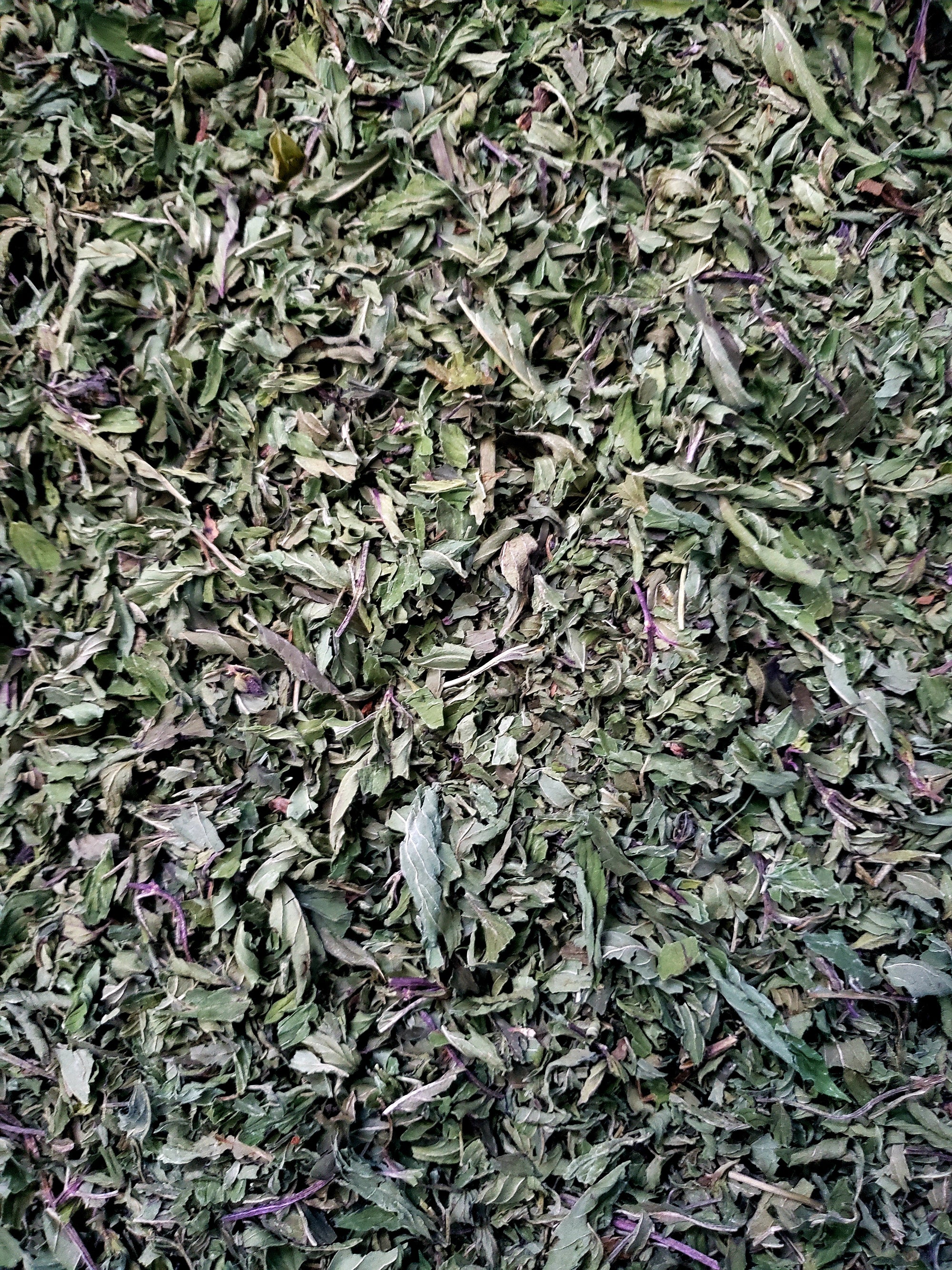 Organic Peppermint- Premium