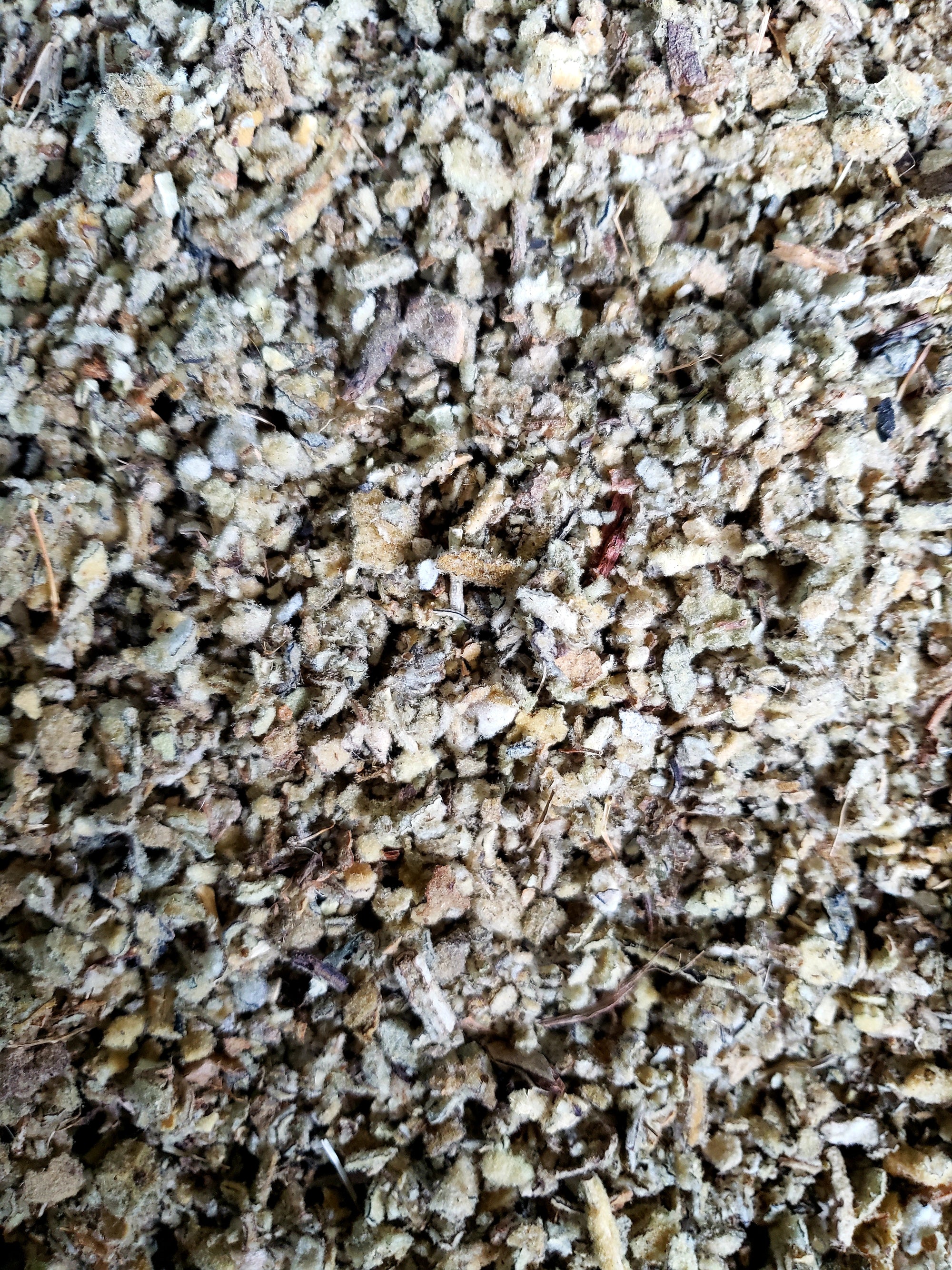 Organic Mullein Leaf