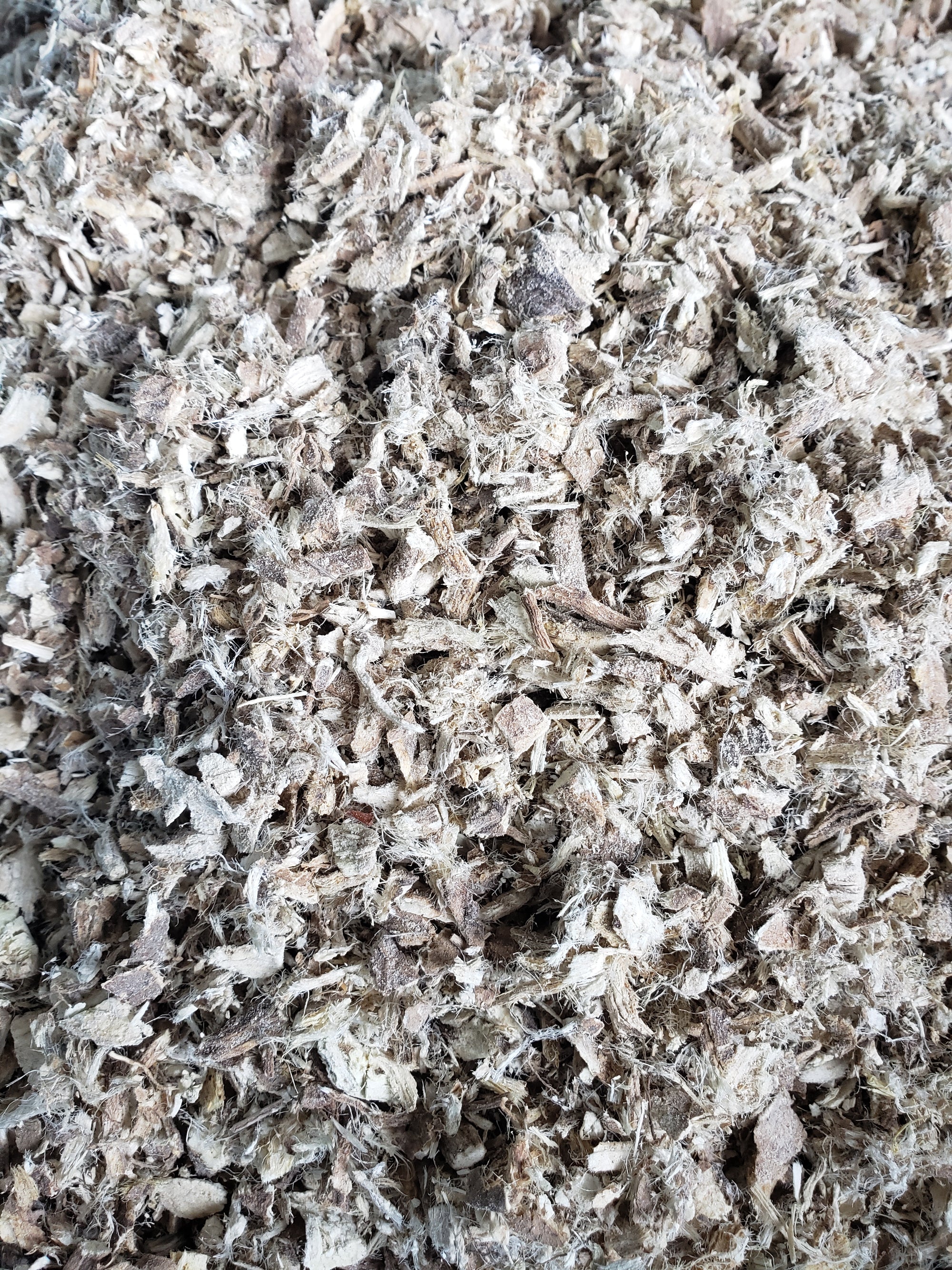 Organic Marshmallow Root