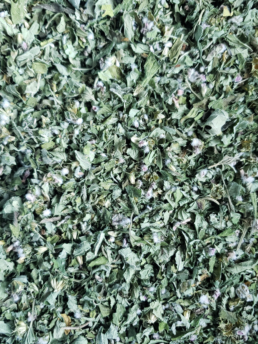 Organic Motherwort- Premium