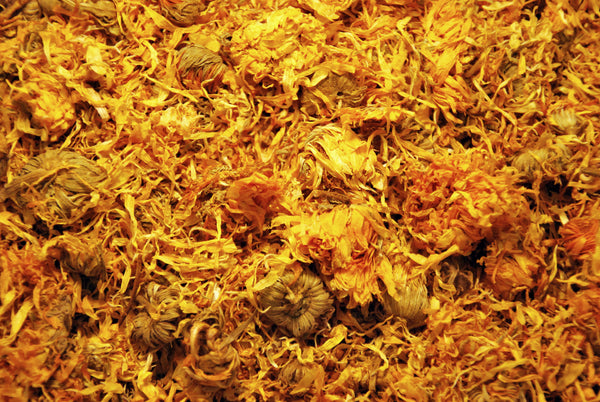 Organic Calendula - Rebel Roots Herb Farm