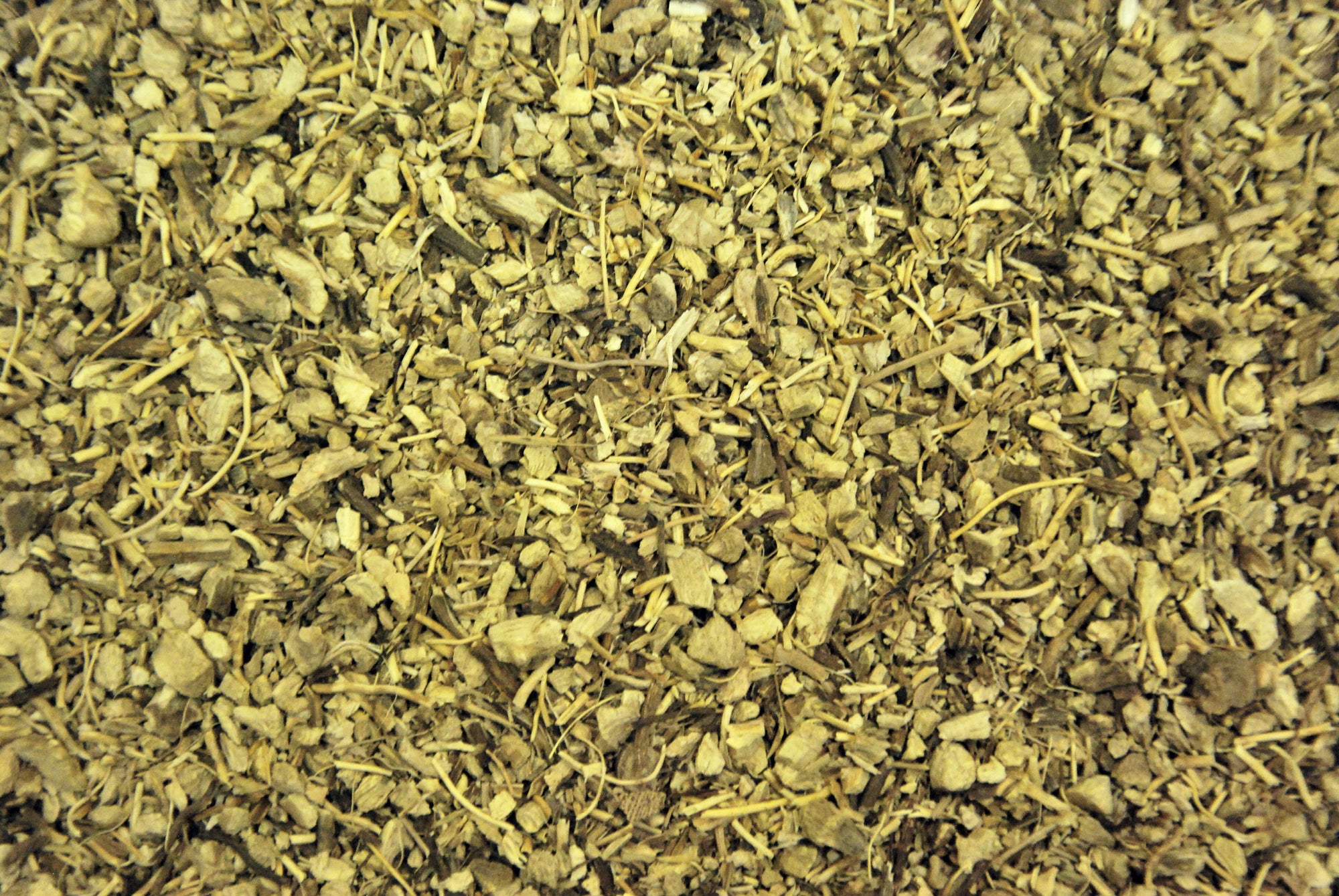 Organic Gravel Root (Joe Pye Weed)