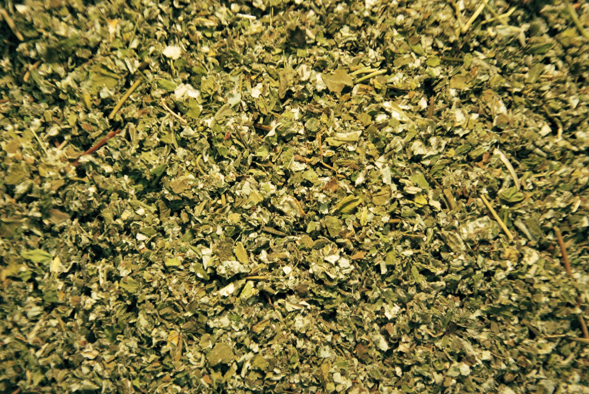 Organic Red Raspberry Leaf