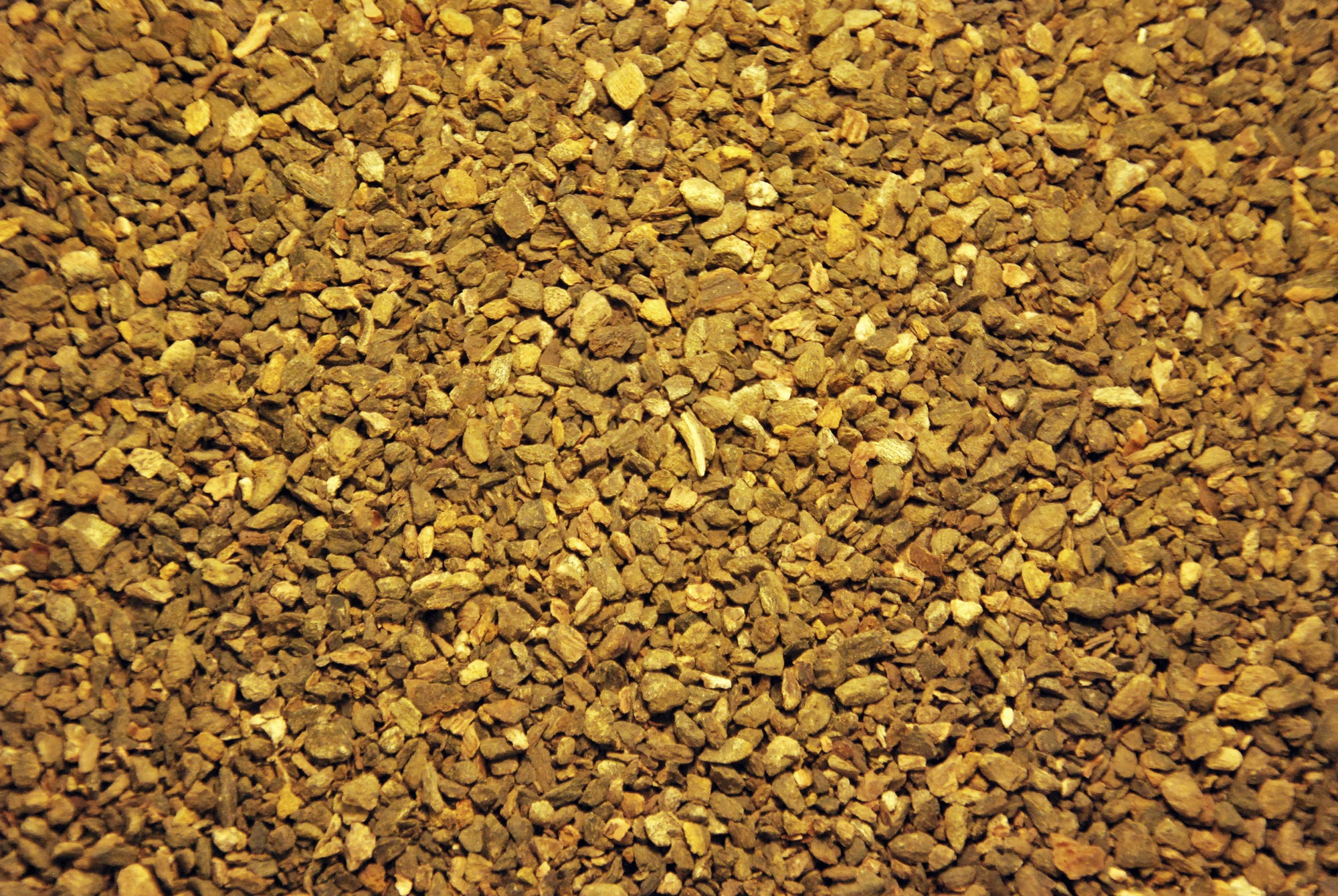 Organic Rhubarb Root